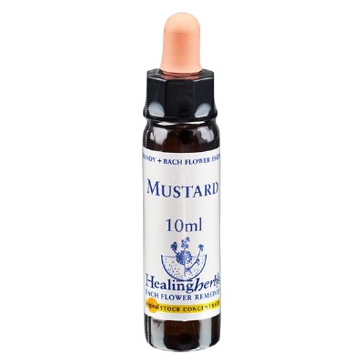 Bild 21 Mustard 10ml HealingHerbs