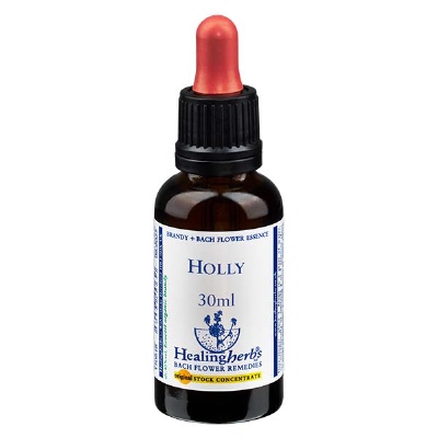 Bild 15 Holly 30ml HealingHerbs